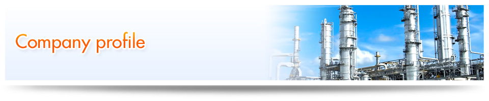 Company profile