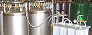 Cryogenic liquefied gas evaporator