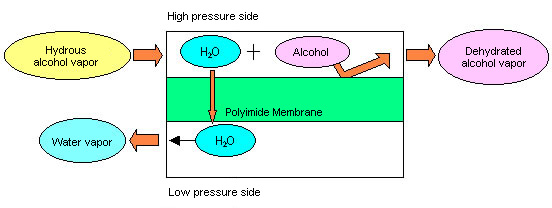 Principles of dehydration