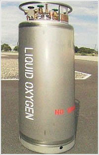Portable cryogenic container