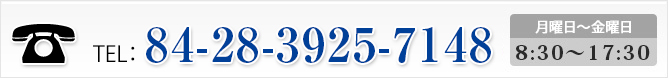 tel:84-28-3925-7148