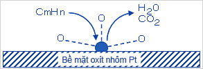 【Tính năng của chất xúc tác】