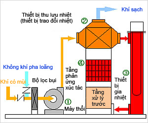 Đặc điểm nổi bật