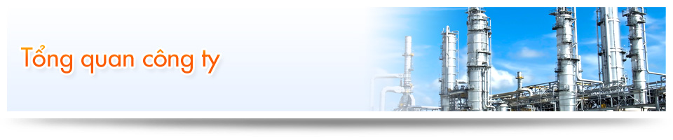 Tổng quan công ty