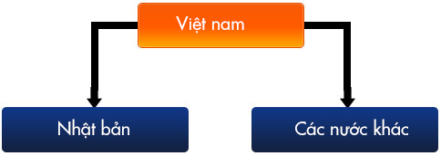 Nhập khẩu vào Việt Nam