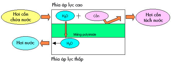 Nguyên lý tách nước